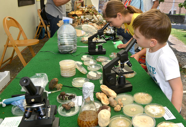 Царство гљива на Калемегдану